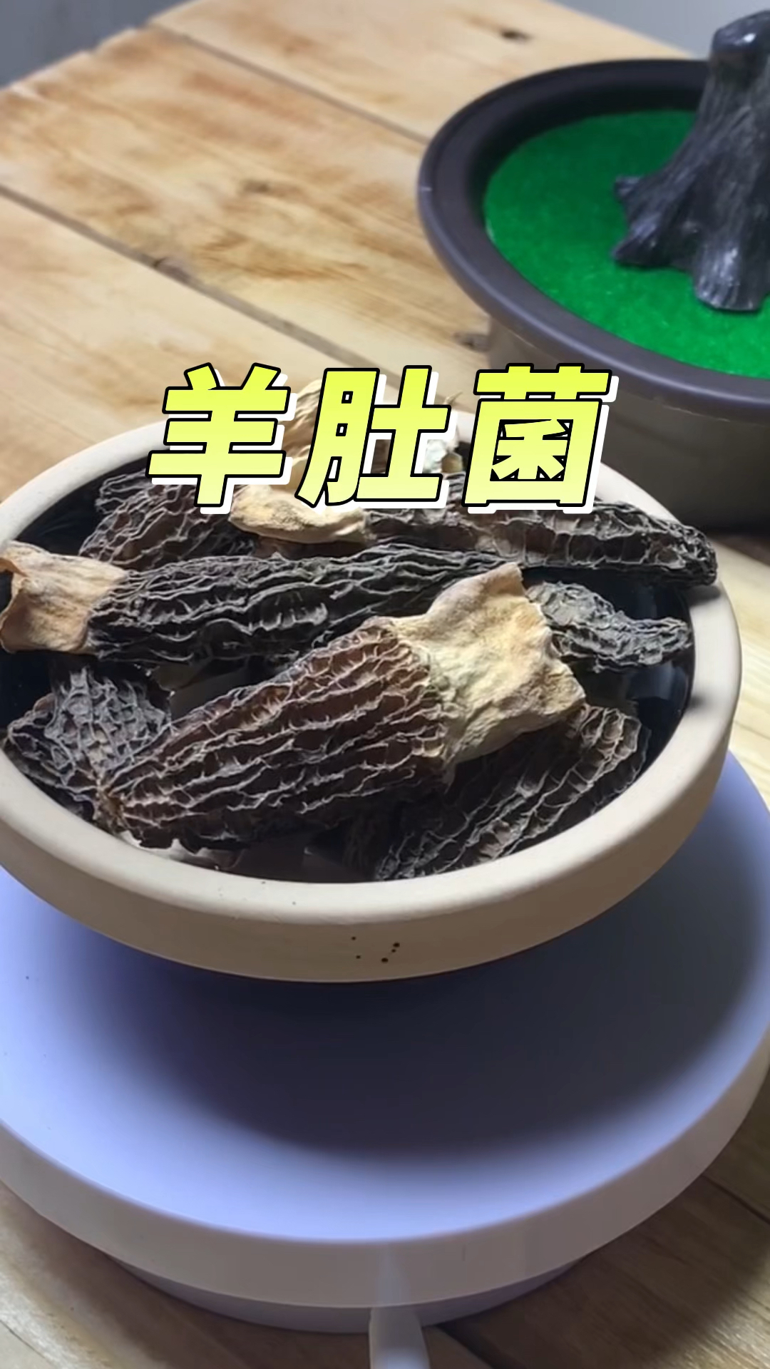 第31集:你知道食用羊肚菌的好处吗