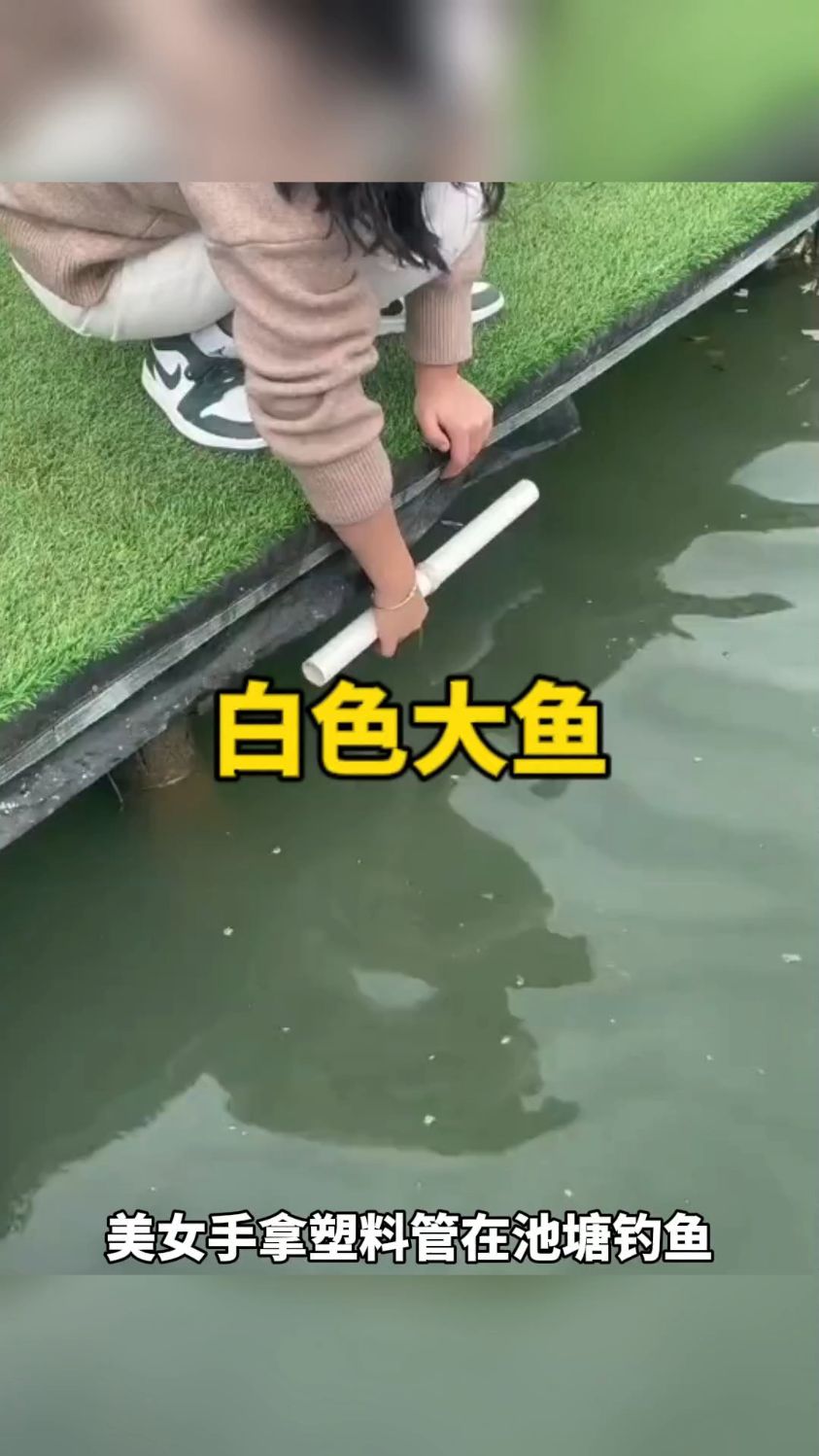 美女钓上来一条白色大鱼