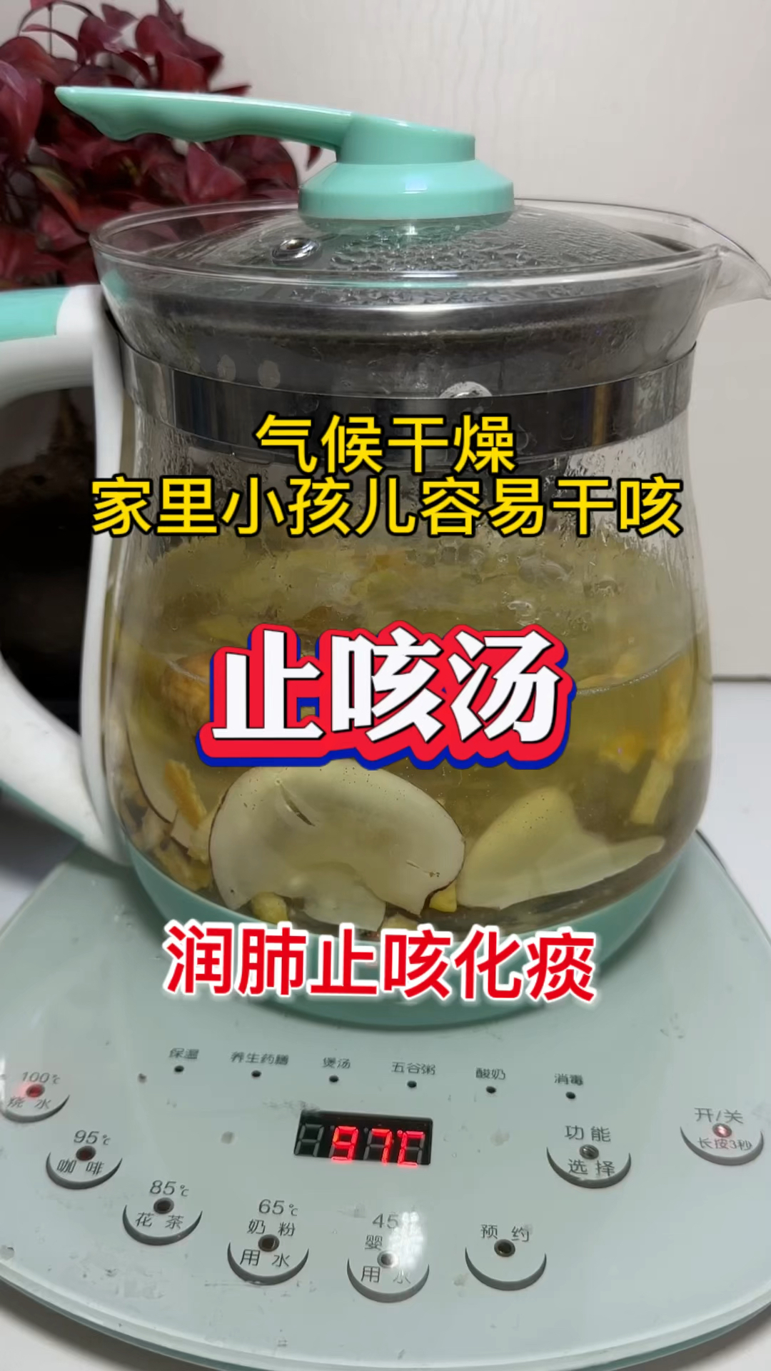 气候干燥。家里孩子容易干咳复咳,这道汤收好了