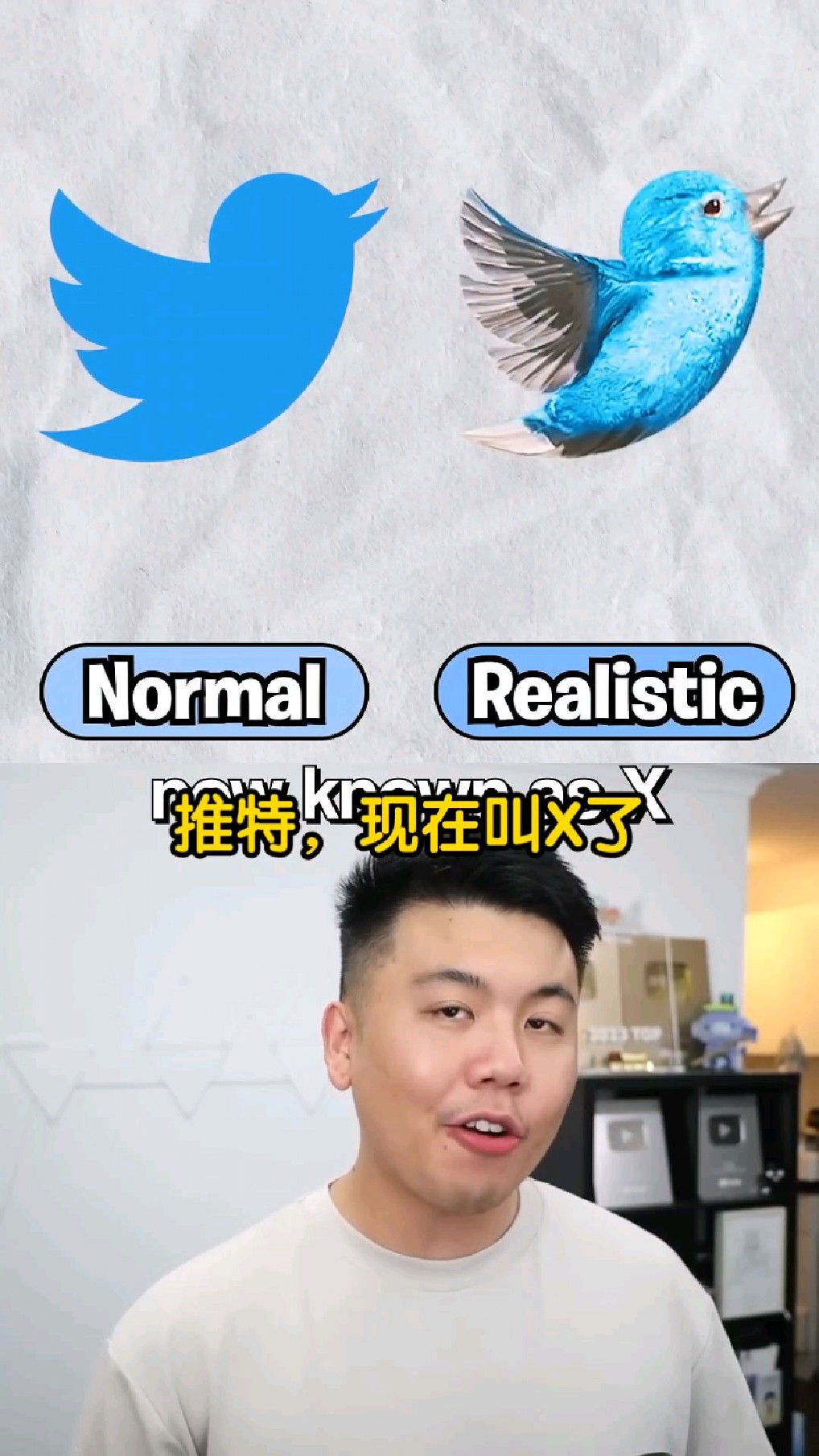 logo的画风转变为写实,谁才是你的菜呢?