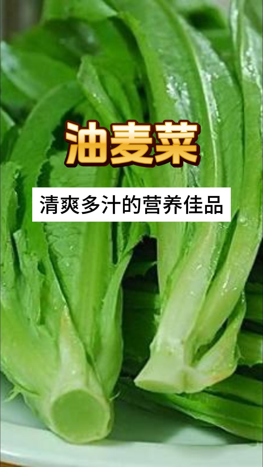 油麦菜:清爽多汁的营养佳品