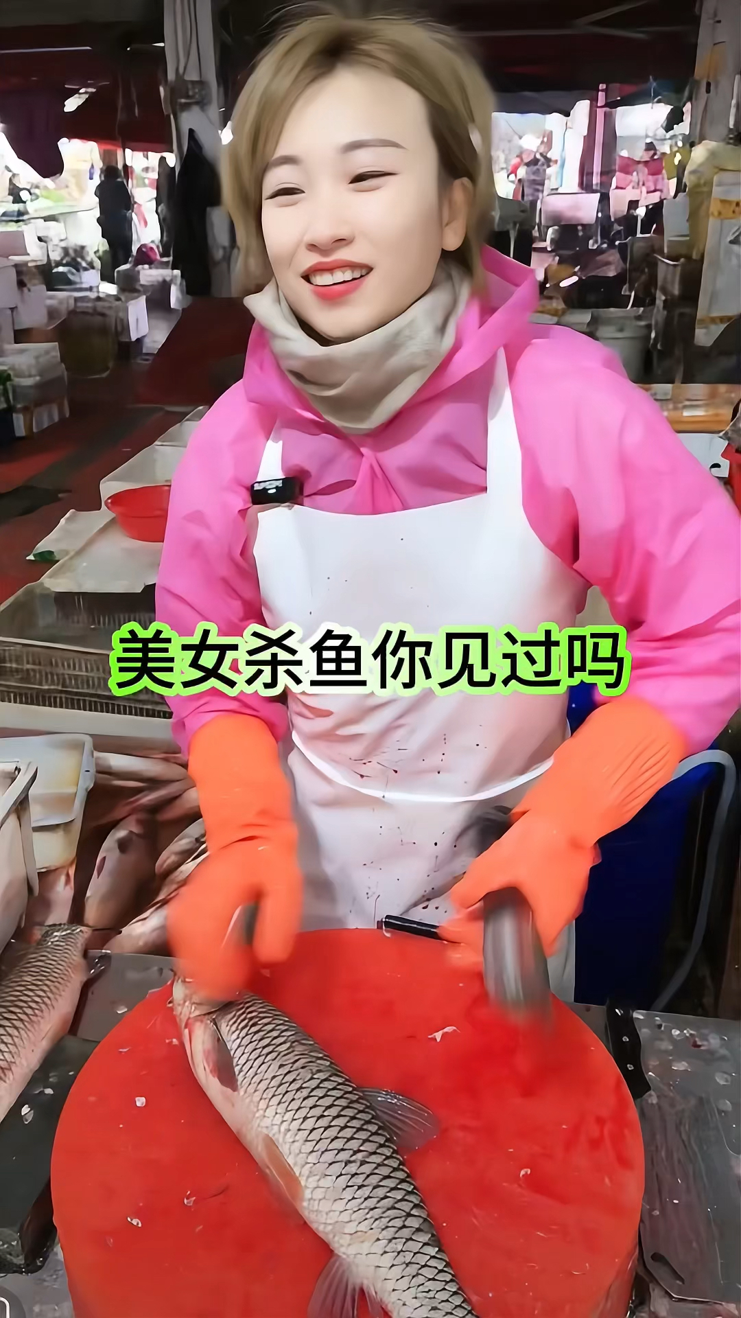 勤勤恳恳每天杀鱼宰鱼不敢偷懒