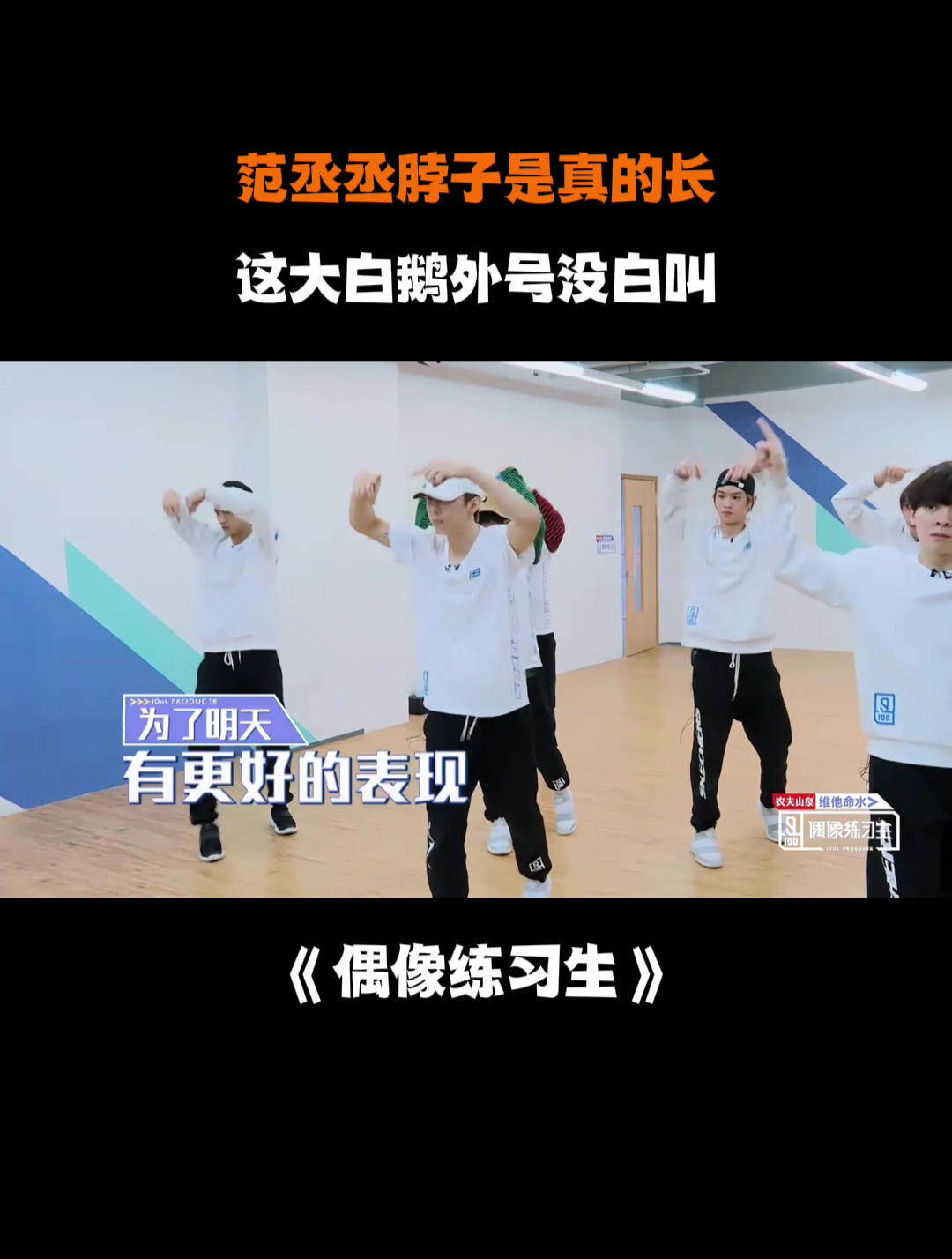 范丞丞脖子是真的长,这大白鹅外号没白叫