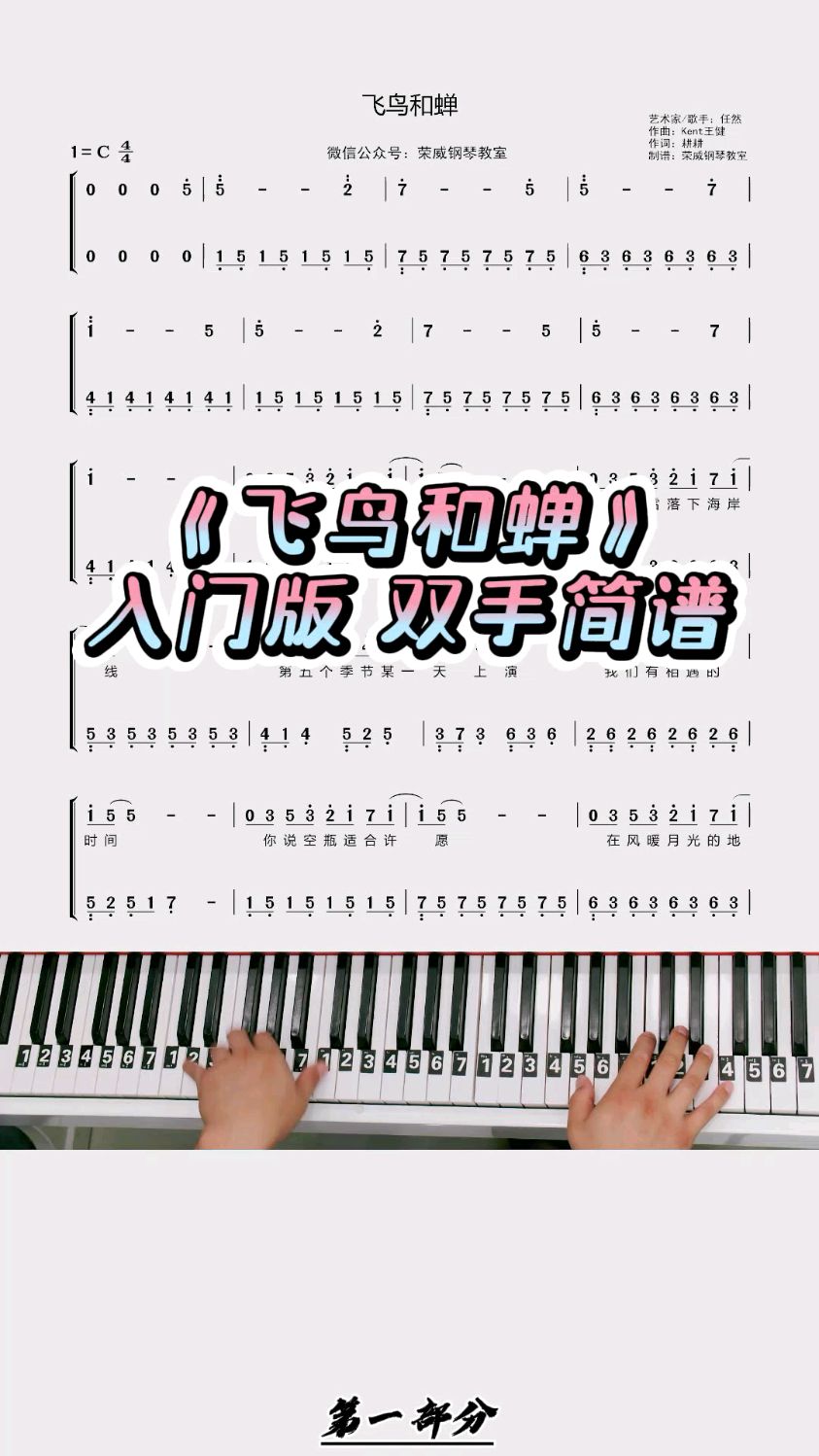 《飞鸟和蝉》钢琴双手简谱教学