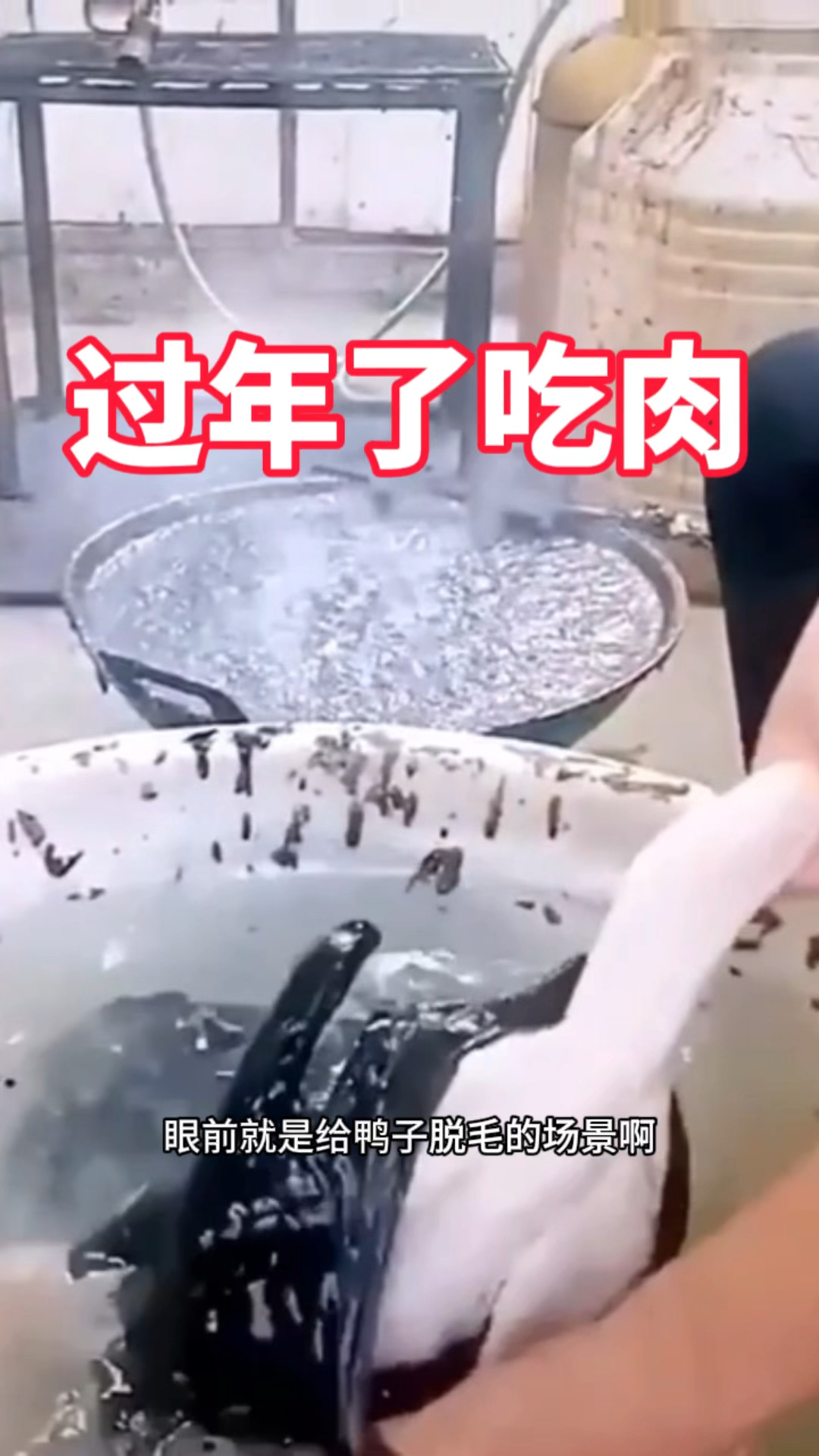 过年了吃肉,鸭子脱的干干净净的了
