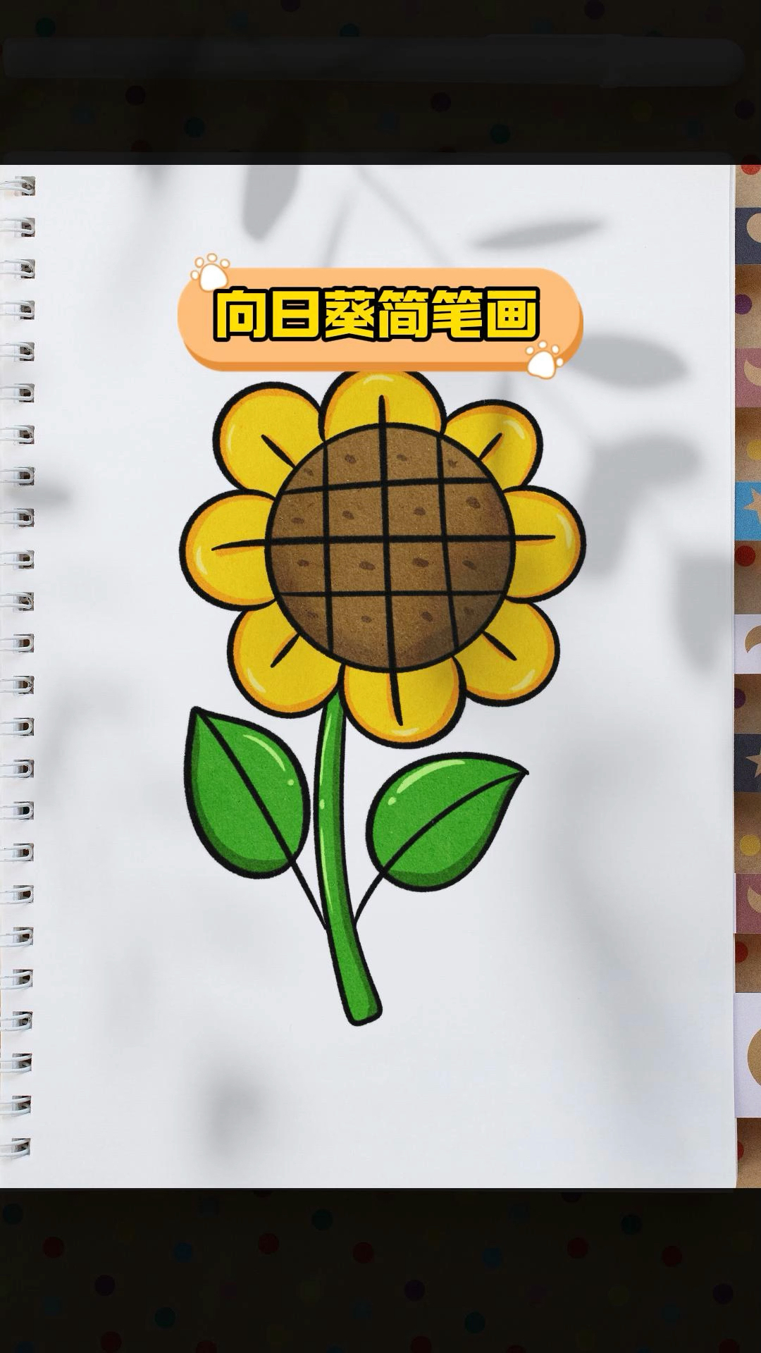 春天快到了教你简单的画一朵漂亮的向日葵!#简笔画 #花朵简笔画 #简笔画教程