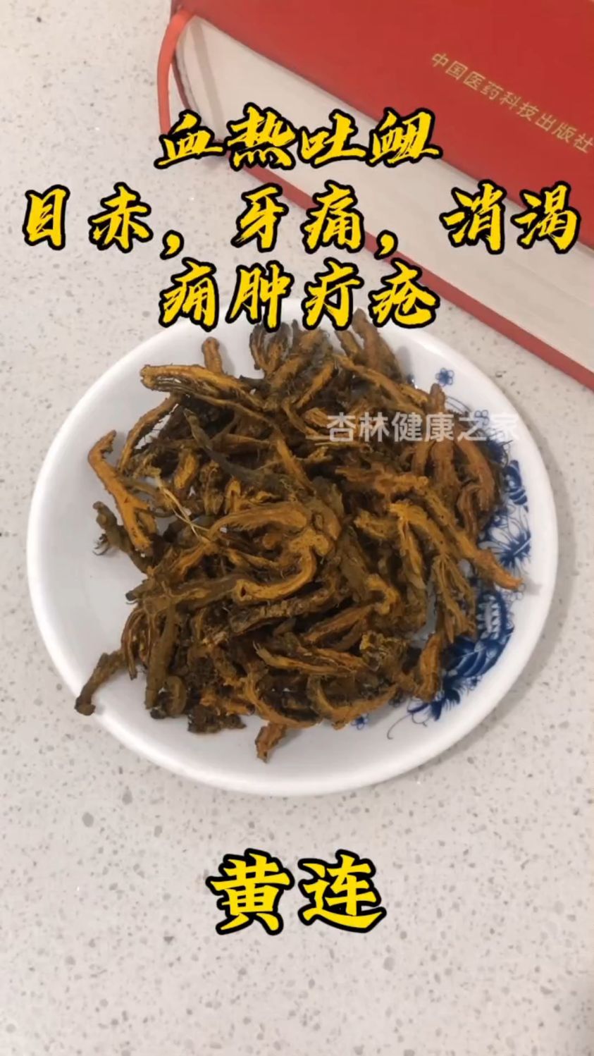来了解一下黄连的功效作用
