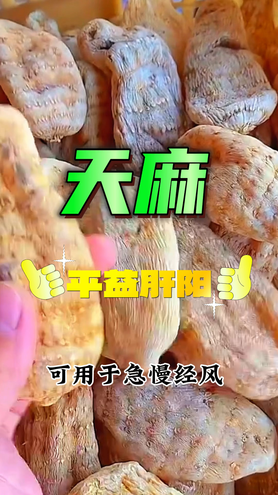 头晕头痛,经常熬夜都可以用天麻炖汤