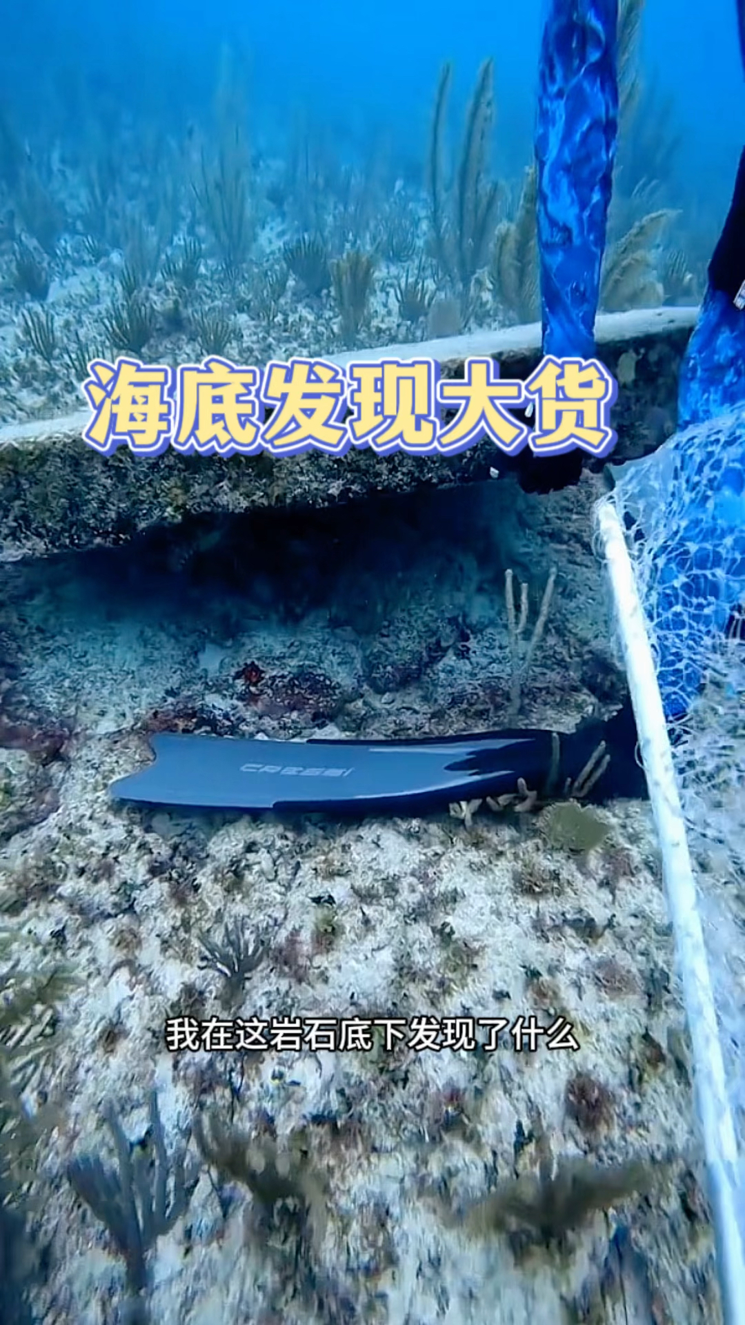 海底发现大货,居然是龙虾