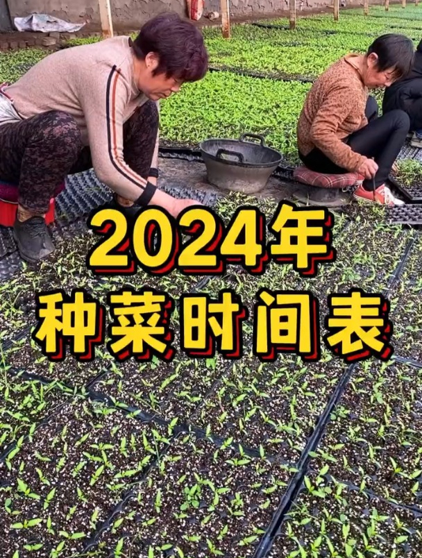 24年种菜时间表,句句都是老农的经验所得!