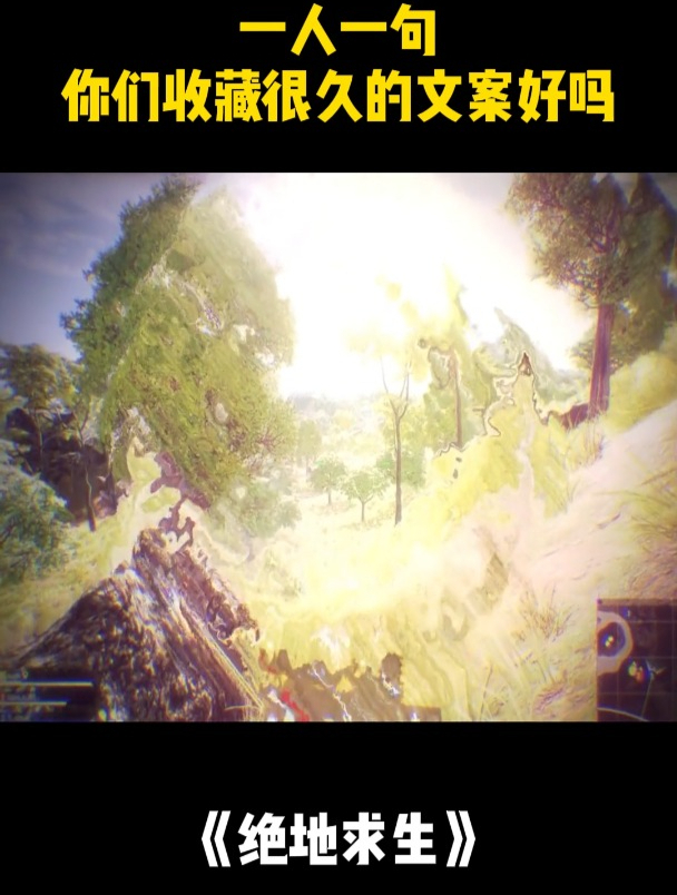 绝地求生:一人一句你们收藏很久的文案好吗