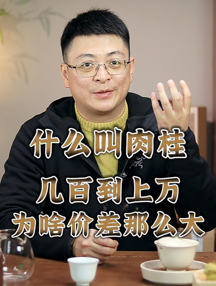 怎么判断一款武夷肉桂的好坏?|什么叫肉桂