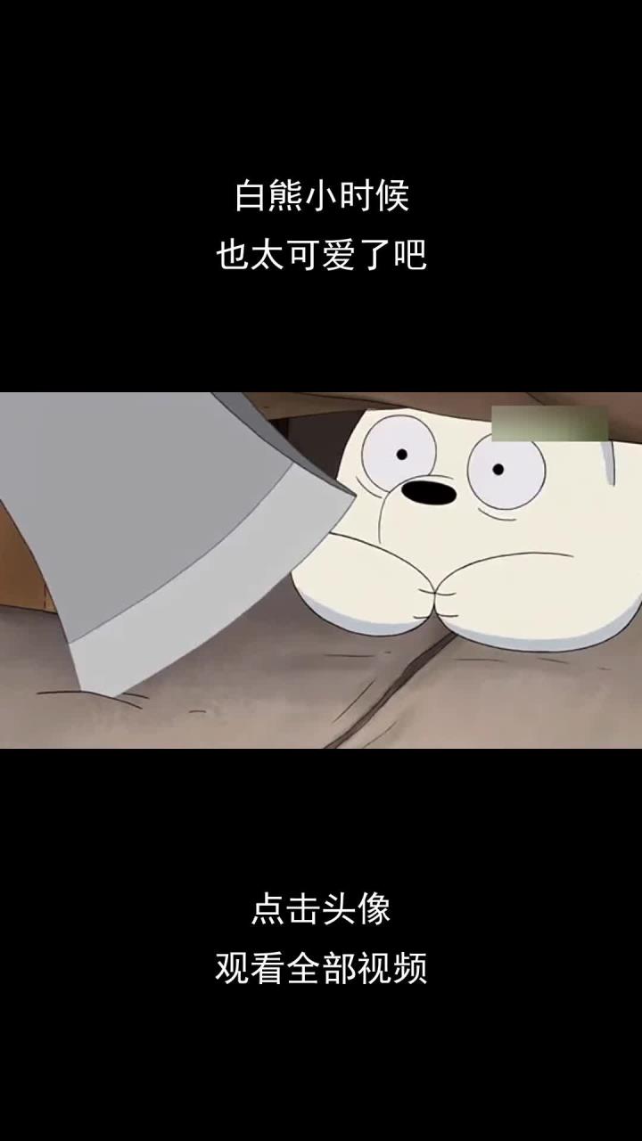 白熊小时候,也太可爱了吧