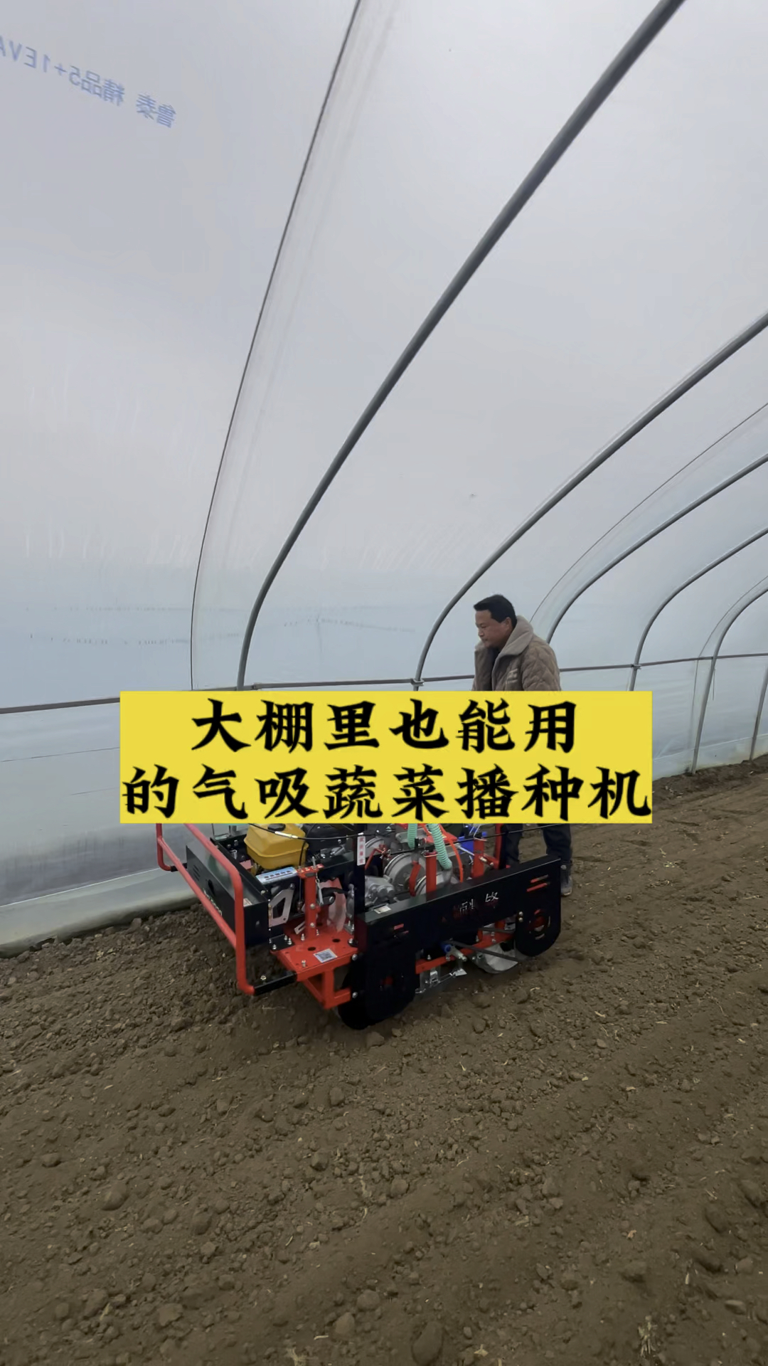 青岛大顺大棚里也能用的气吸蔬菜播种机