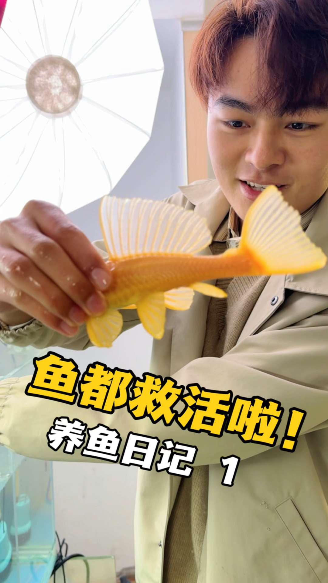 好消息!鱼都还活着 !食人鱼也再次回归
