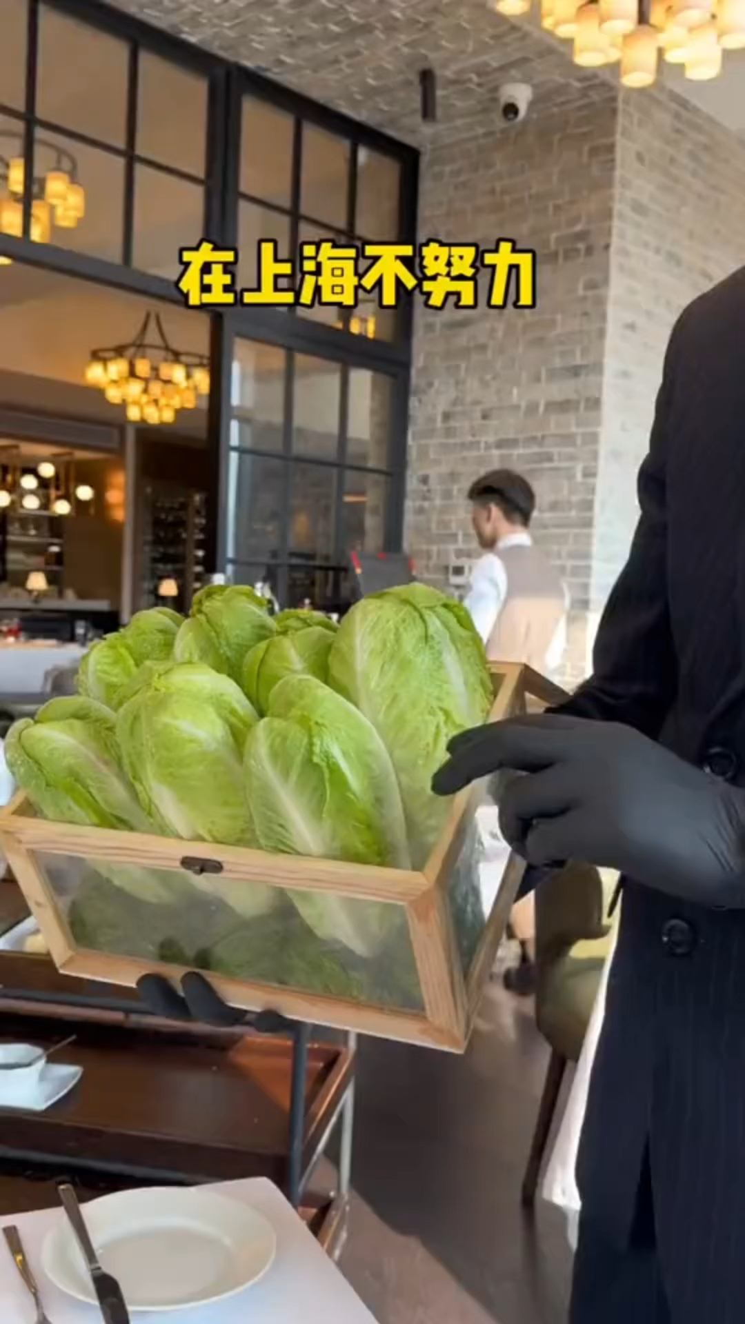 在上海吃一颗生菜要一百八十八,网友直呼再不努力白菜都吃不起了