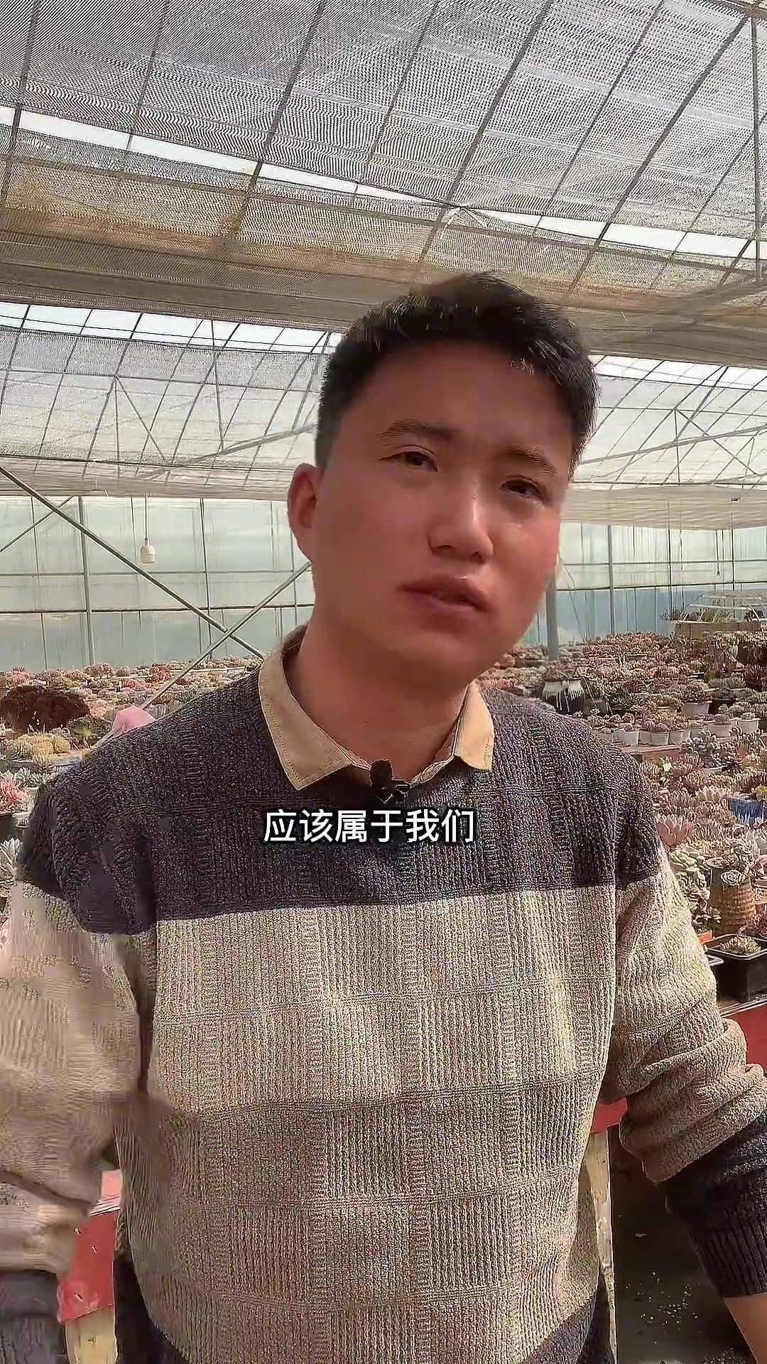 多肉植物白粉病、烟煤病、黑腐等问题常见