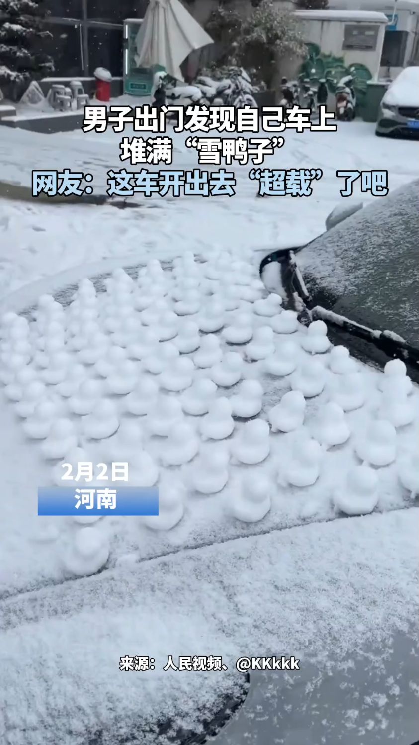 男子出门发现自己车上 堆满“雪鸭子” 网友:这车开出去“超载”了吧
