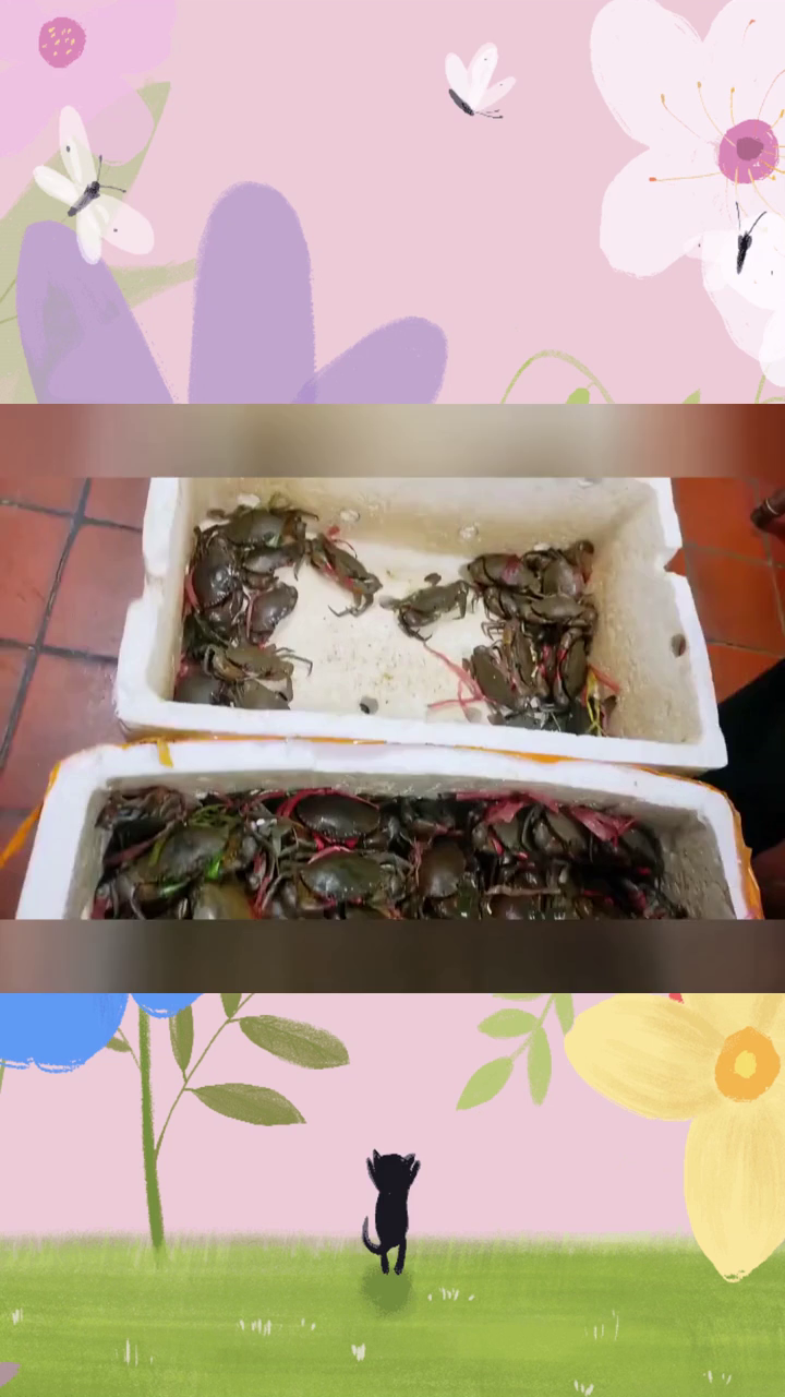火锅火锅 襄阳美味价格优惠 好吃加盟费要多少 襄阳蟹肉煲便宜