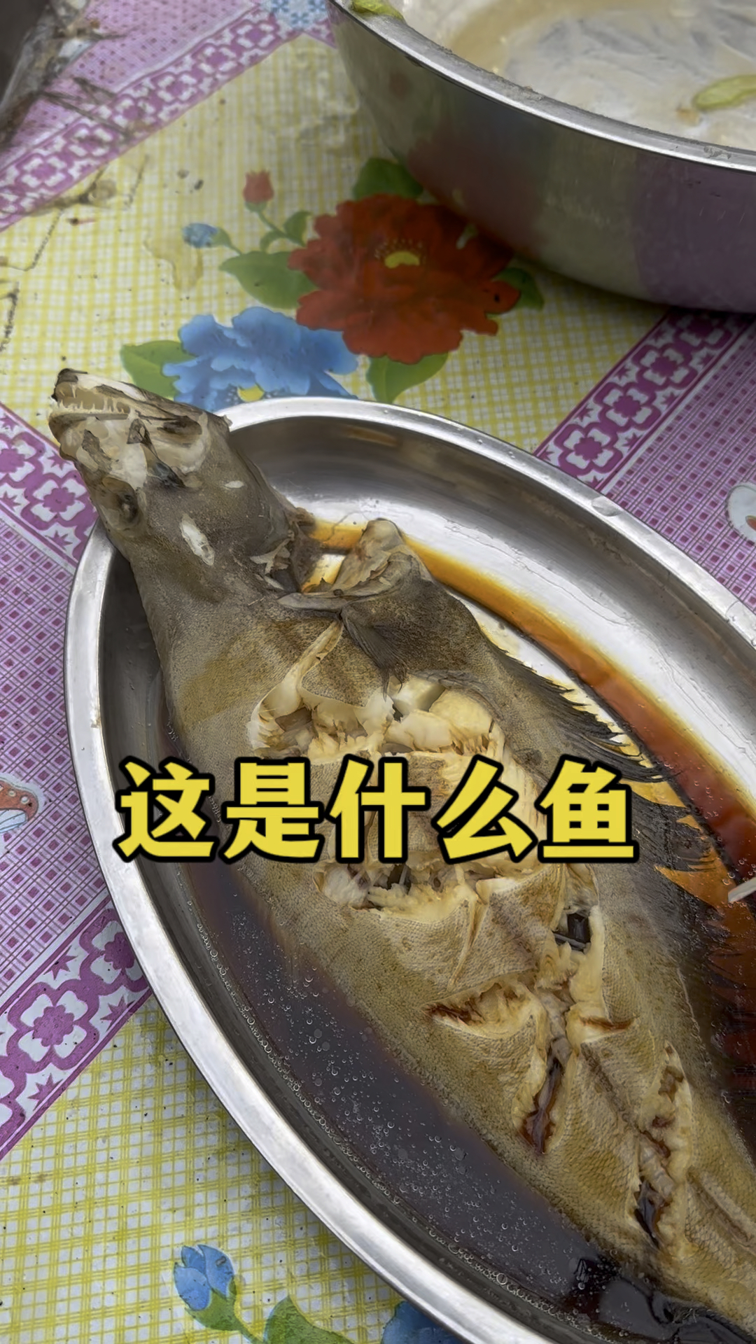 这是什么鱼 叫什么名字