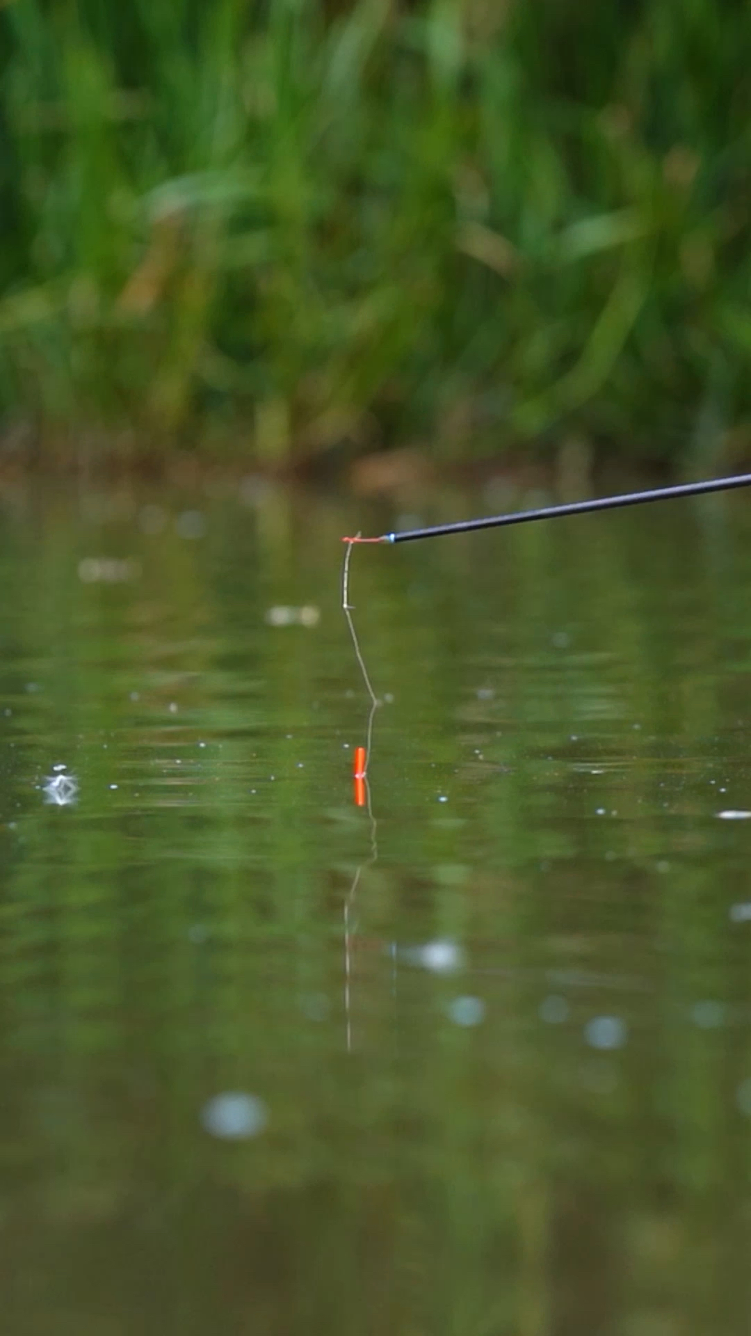 与大鱼的唯美拉扯,钓鱼让人心动的一刻