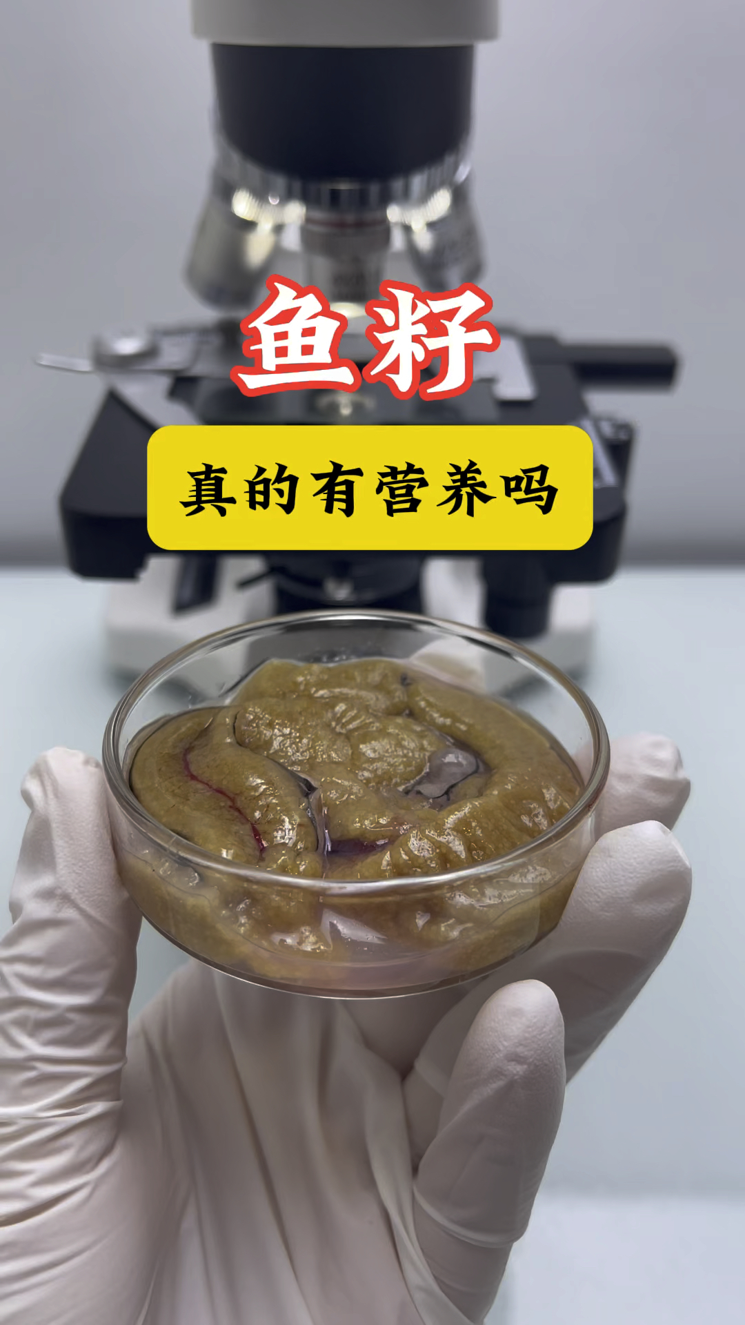 家人们都爱吃鱼籽吗?知道吃鱼籽有什么好处吗?