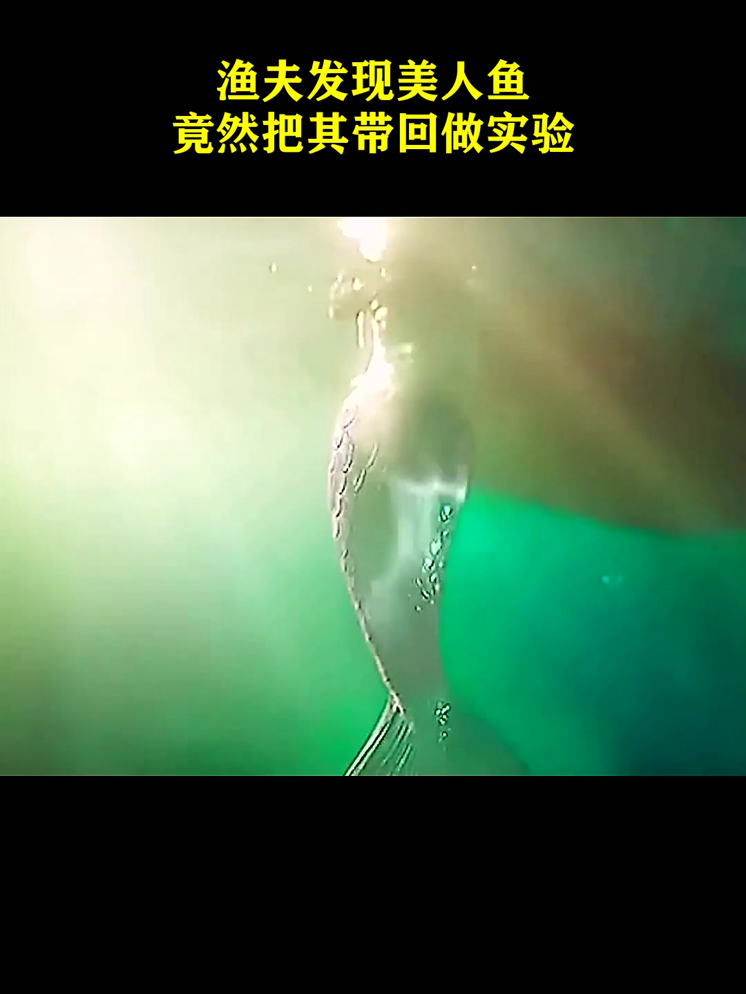 渔夫发现美人鱼,竟然把其带回做实验