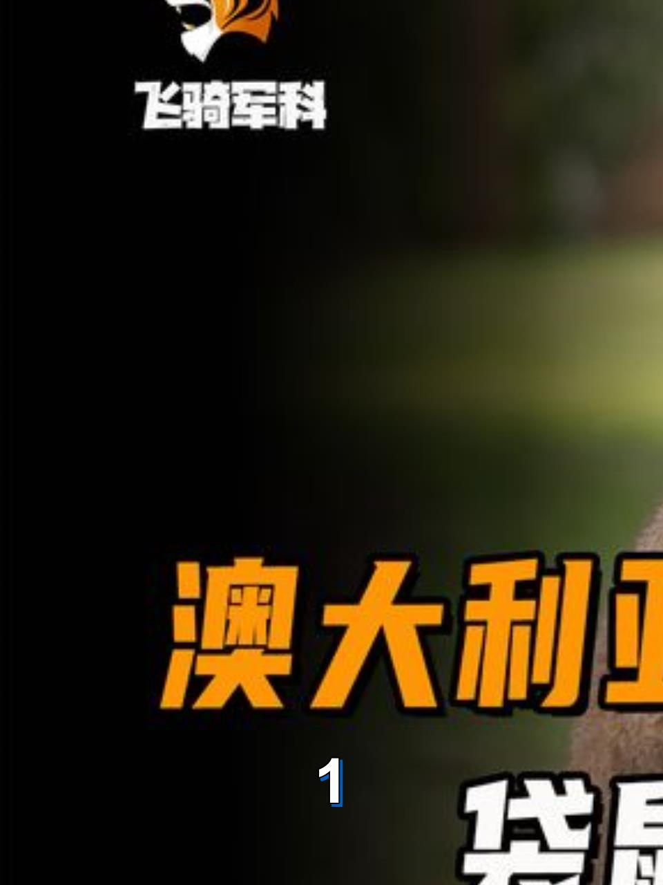 袋鼠外貌特征揭秘,奇特身体结构与适应环境的进化奇迹1