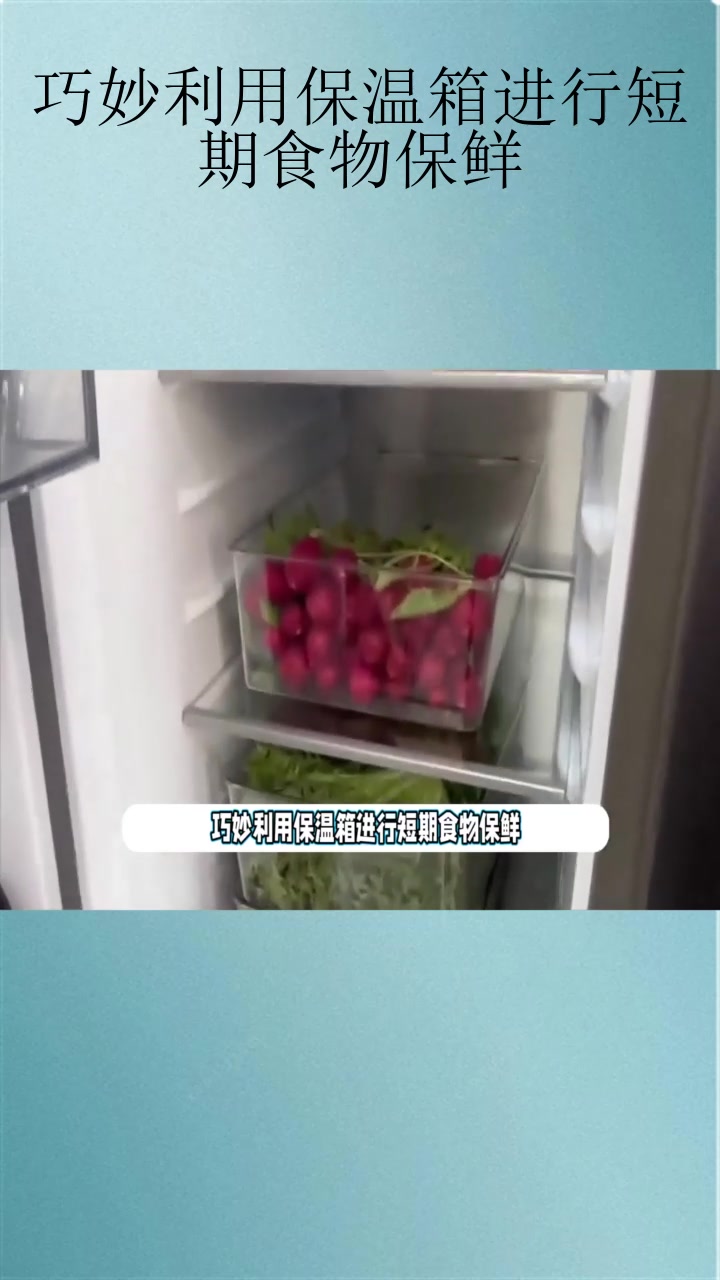 巧妙利用保温箱进行短期食物保鲜
