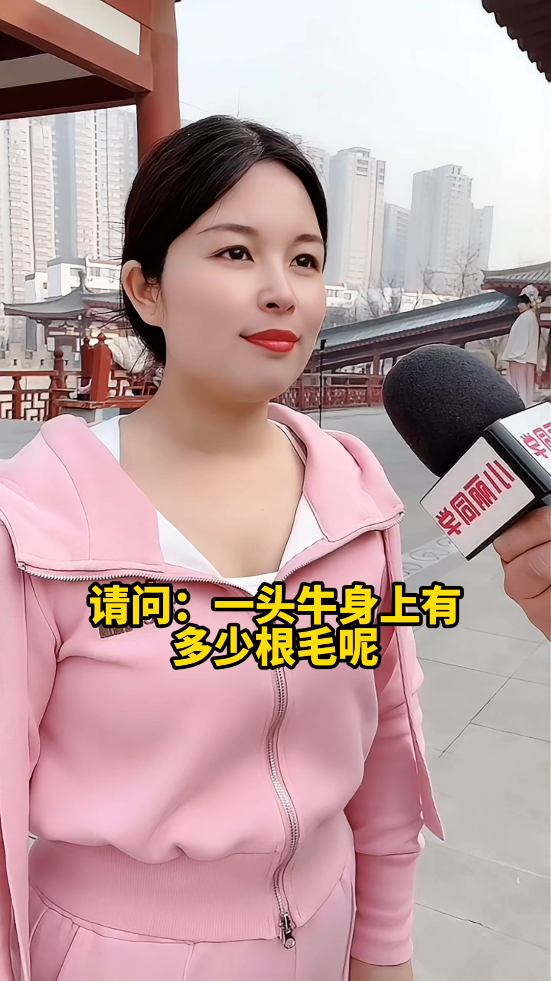 一头牛身上有多少根毛呢?#街头采访 #小丽同学 #刘伯温