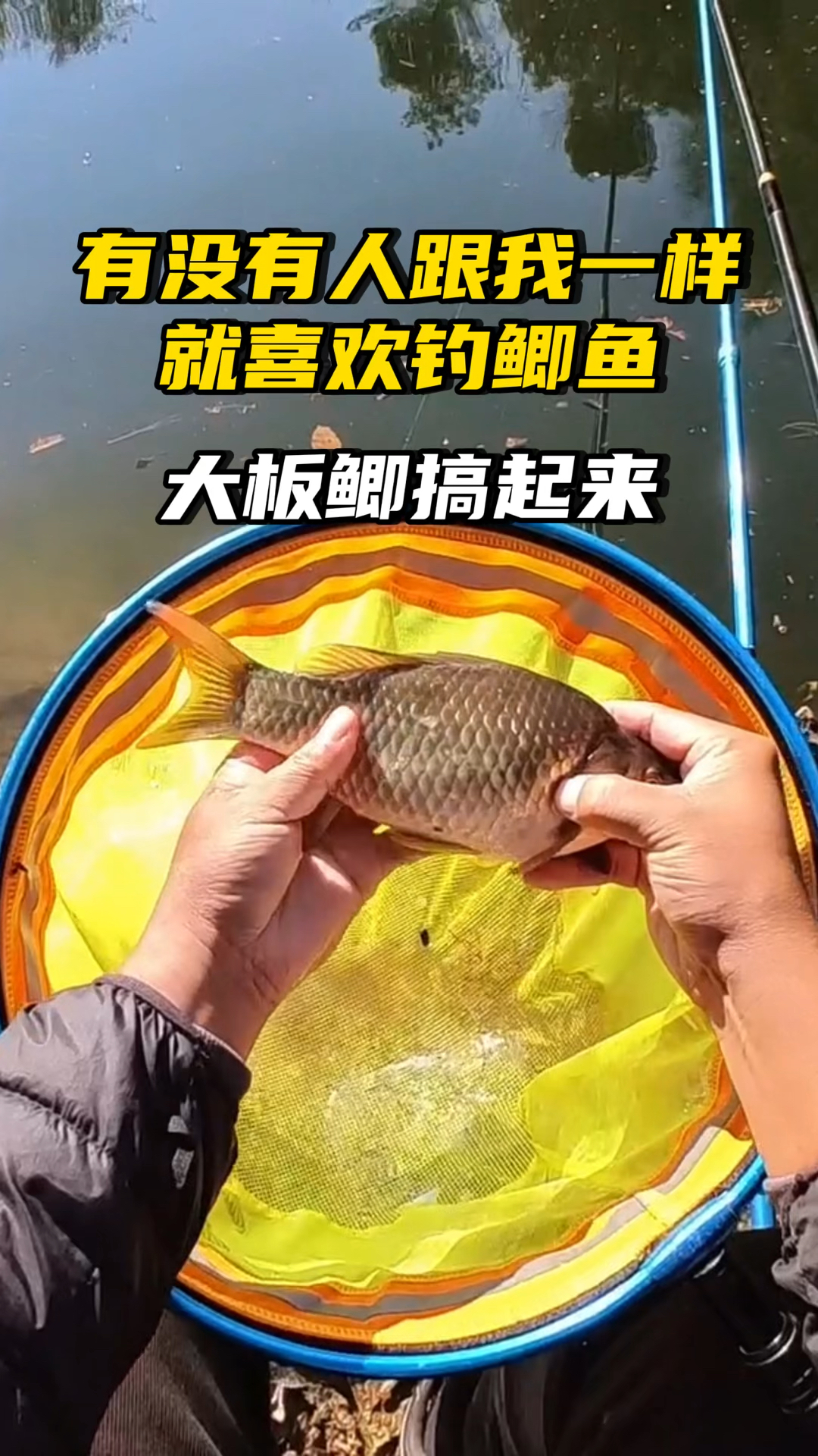 有没有人跟我一样就喜欢钓鲫鱼,评论区晒一晒你的渔获!