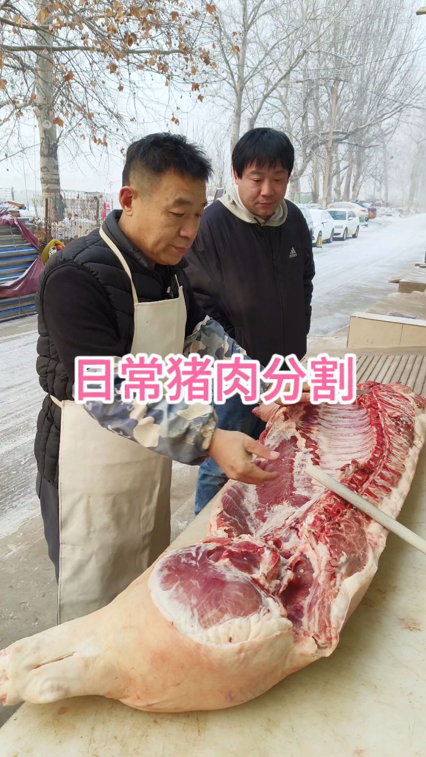 日常猪肉分割