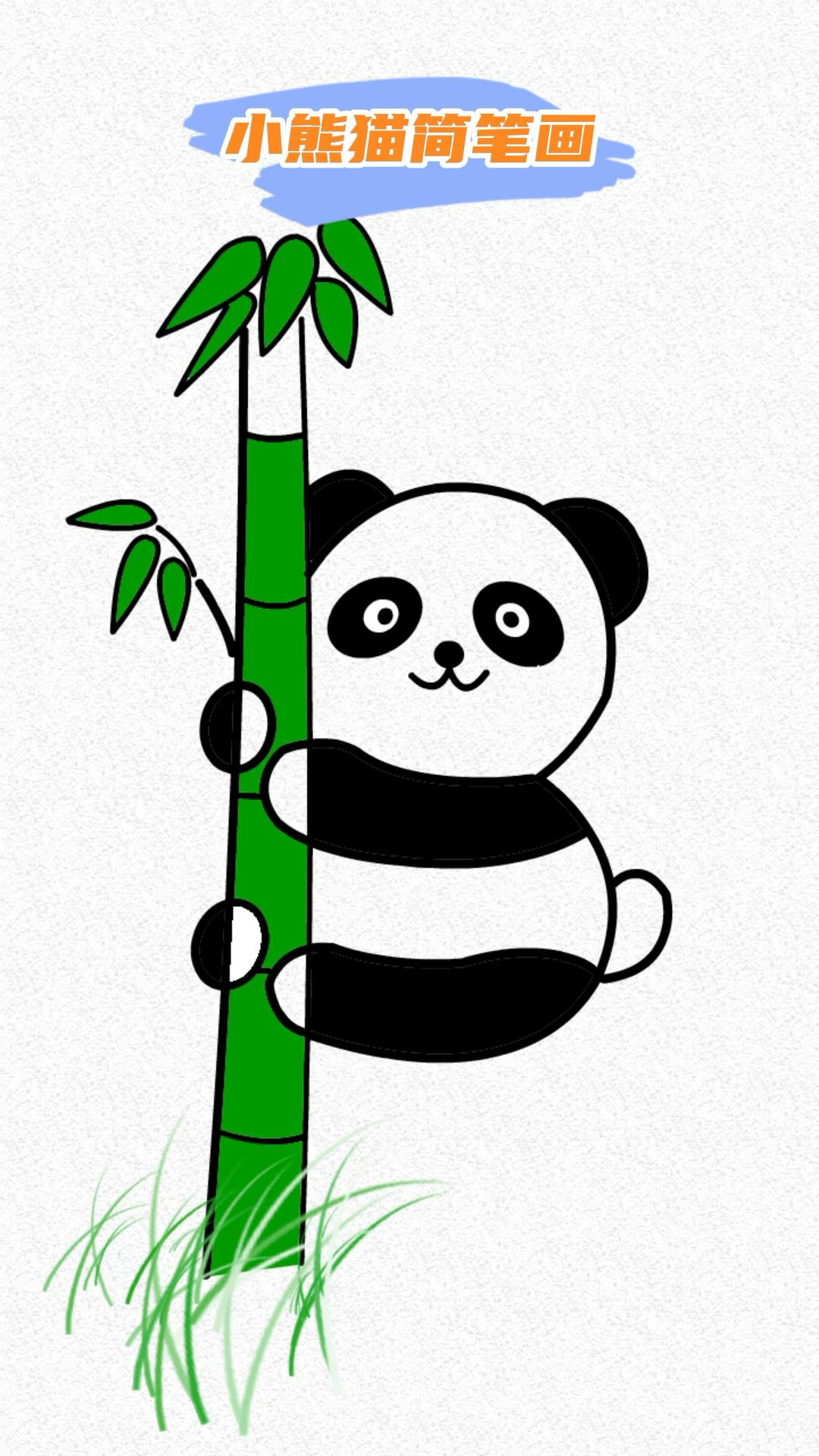 小熊猫简笔画
