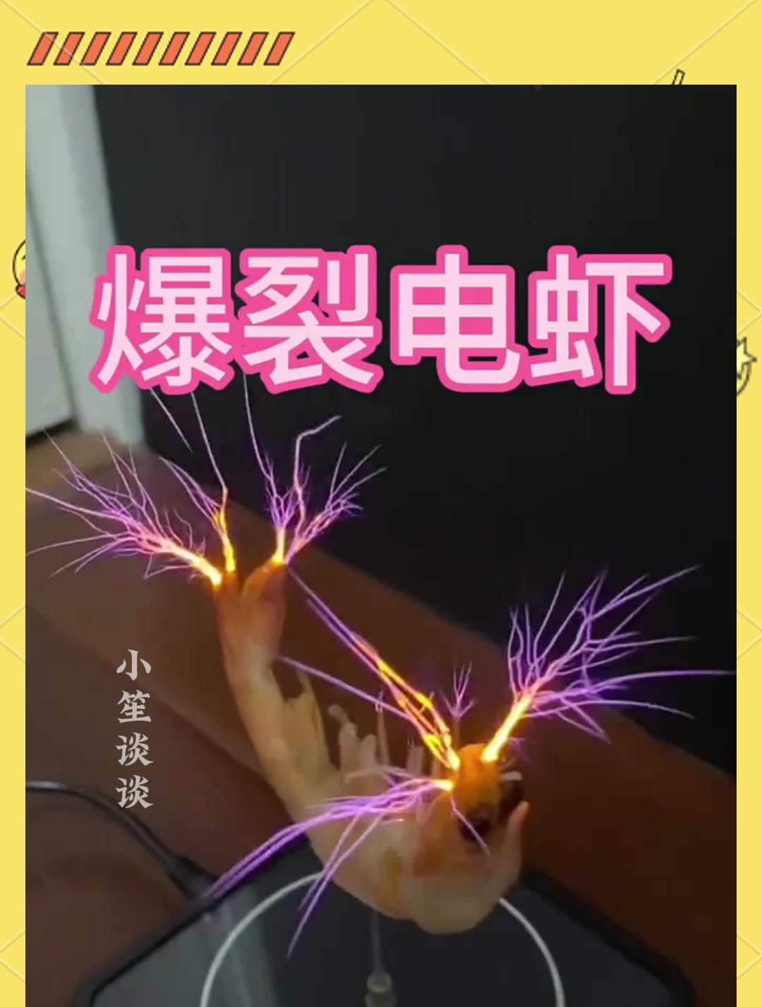 爆裂电虾,这电音虾还挺好看的