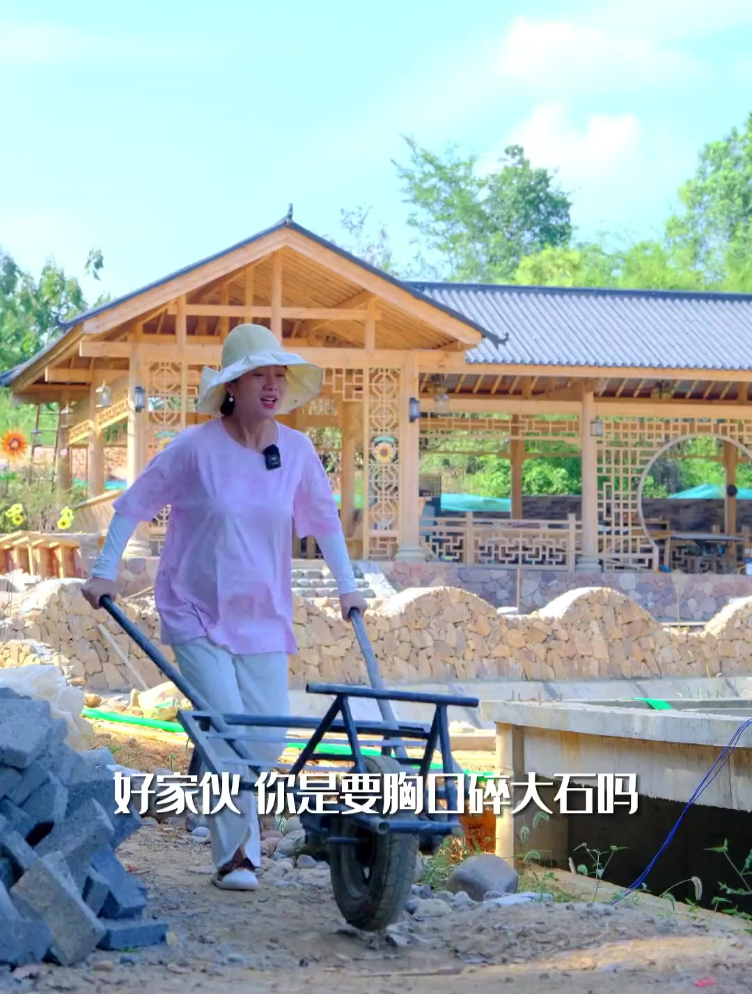 普普通通的石头围着鱼池摆出来会这么好看,离小桥流水又近了一步