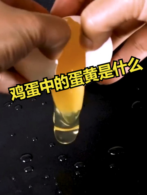 鸡蛋中的蛋黄是什么