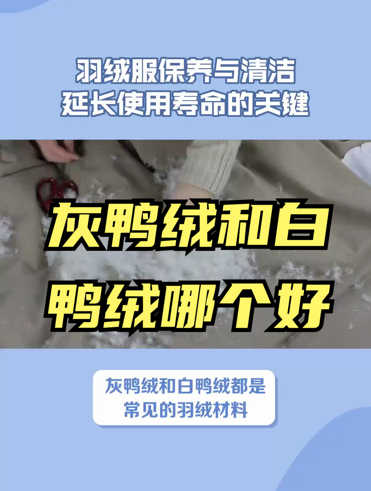 别再为选择纠结!灰鸭绒与白鸭绒比较,一次性解决你的疑惑!