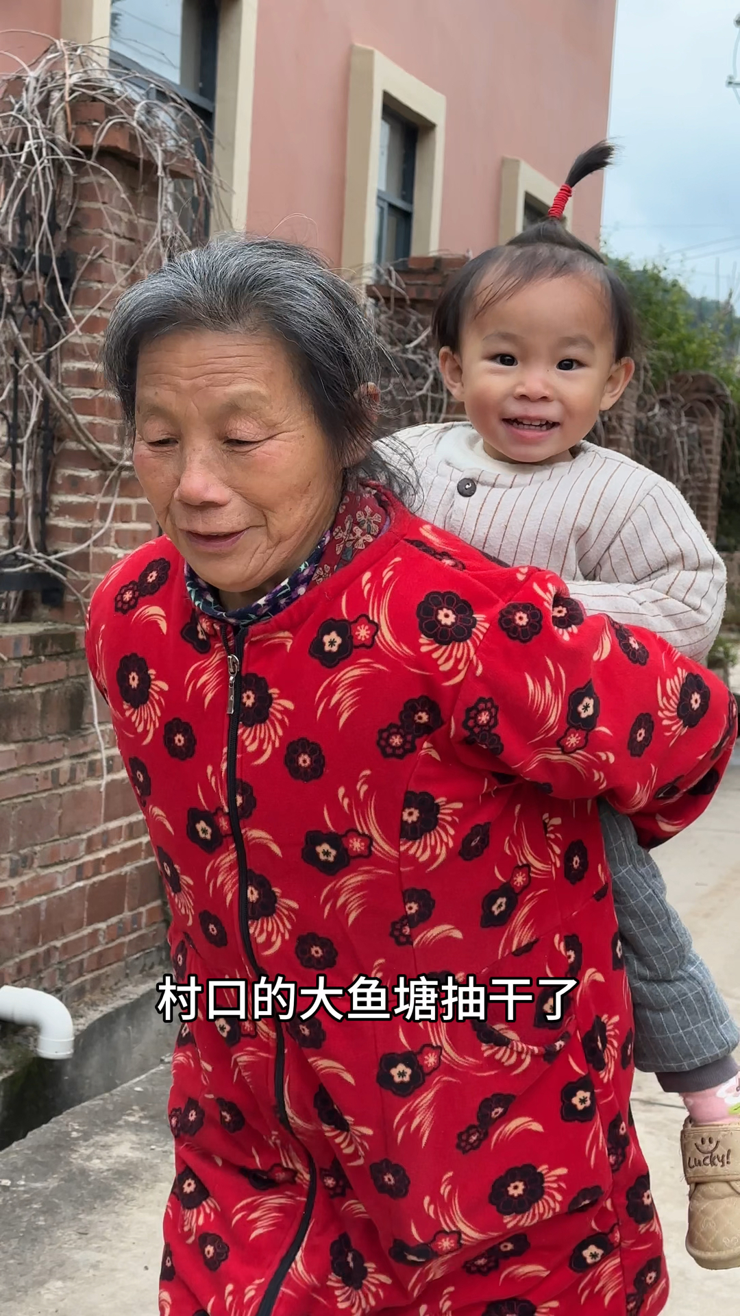 今天村里的大鱼塘开始捞鱼了