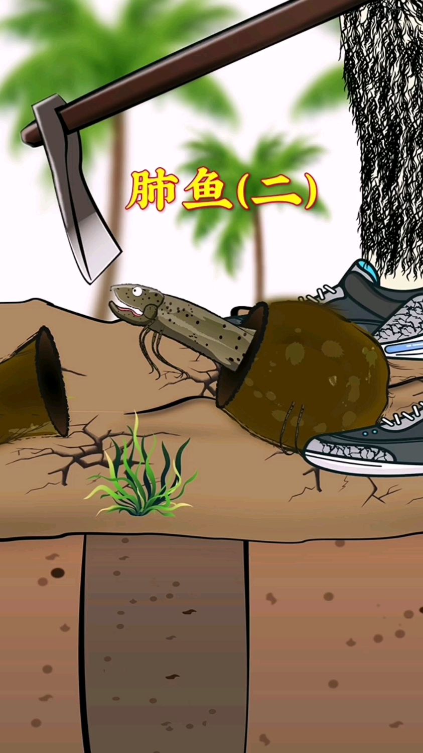 你知道怎么捉非洲肺鱼吗?