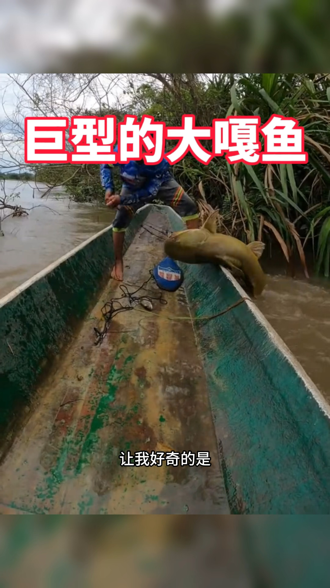 巨型的大嘎鱼,结局亮了