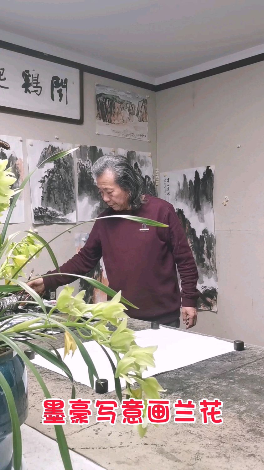 墨豪写意画兰花