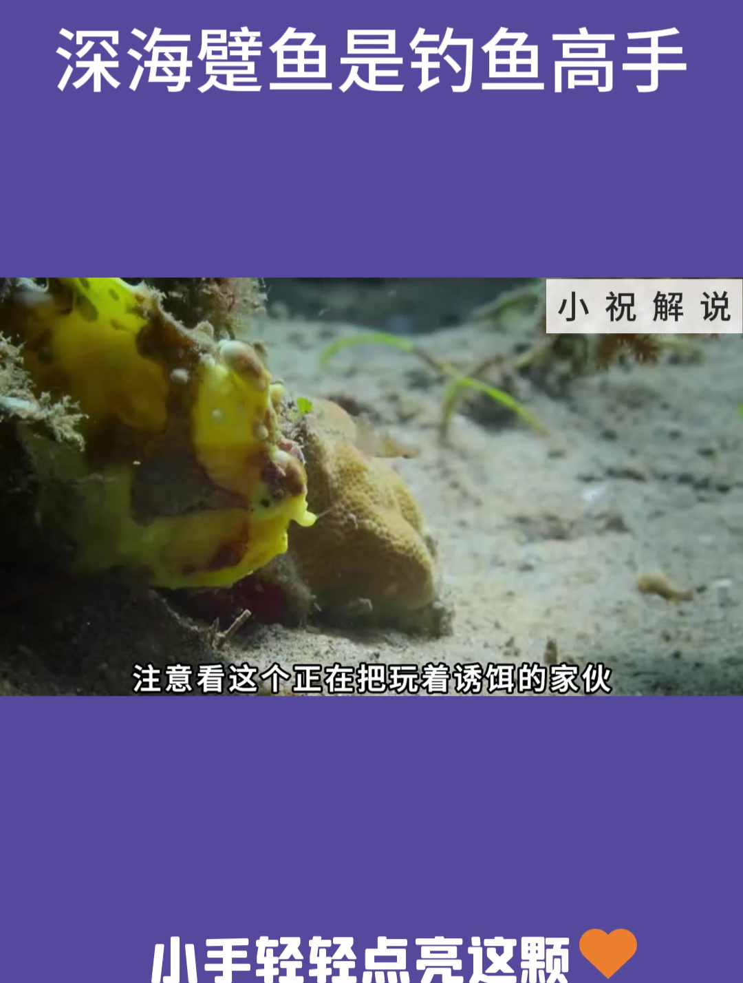 深海躄鱼是钓鱼高手!