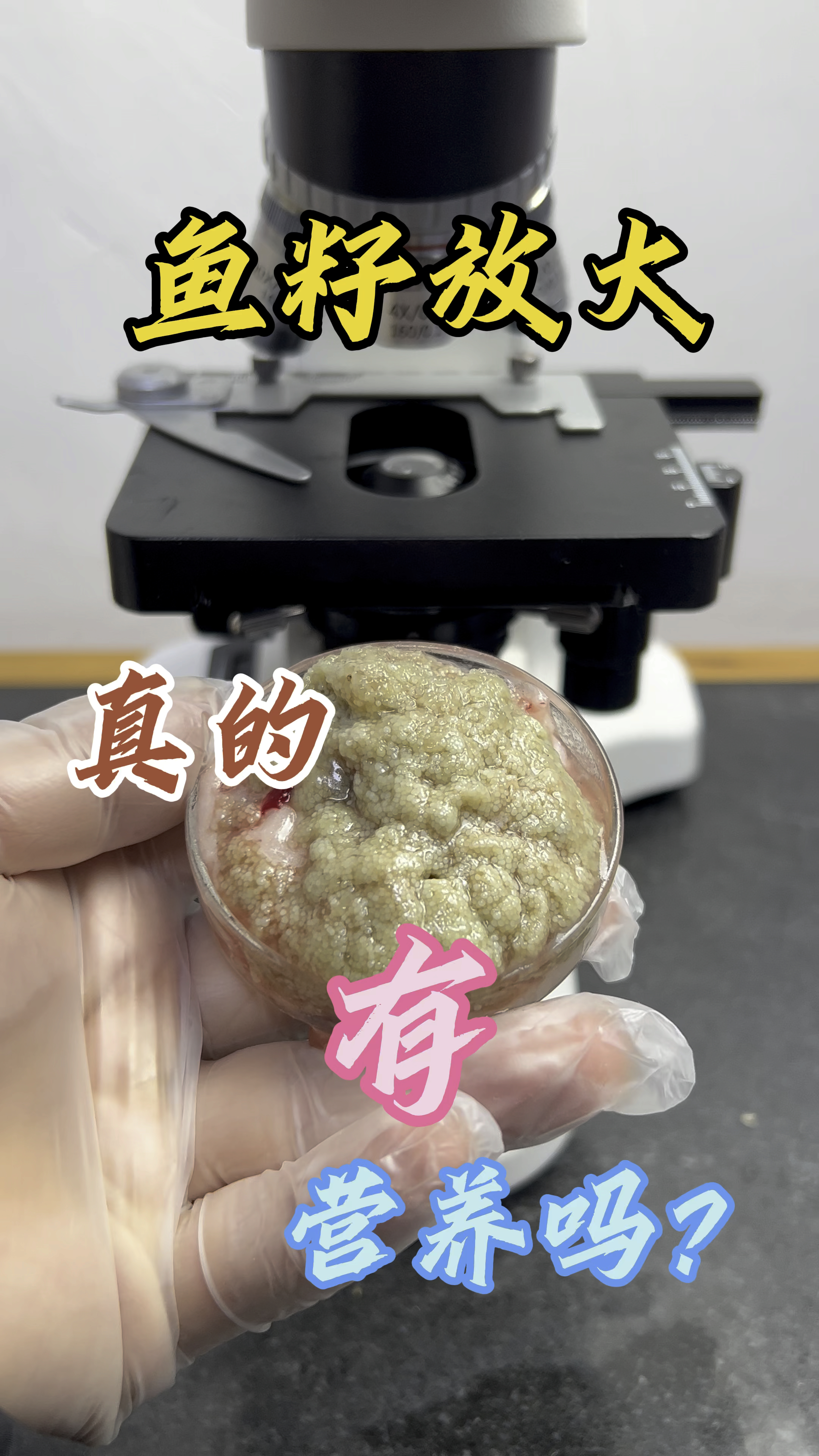鱼籽真的有营养吗?