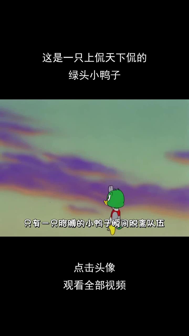 这是一只上侃天下侃的,绿头小鸭子