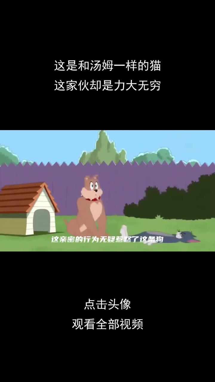 这是和汤姆一样的猫,这家伙却是力大无穷