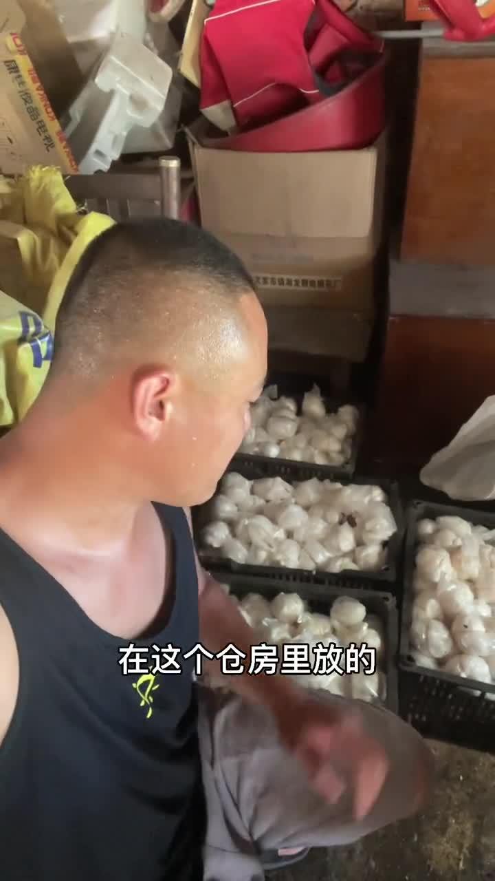 一卤盐鹅蛋,新农人计划2021,优质农产品,鹅蛋