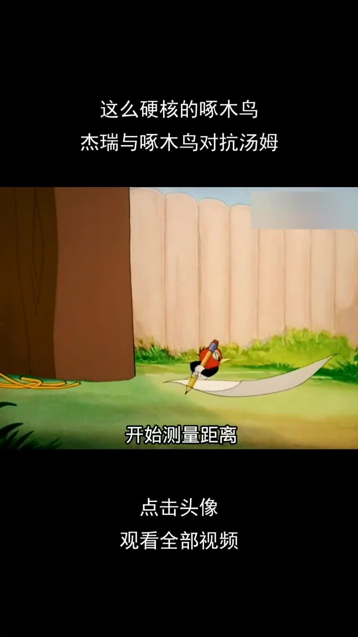 这么硬核的啄木鸟,杰瑞与啄木鸟对抗汤姆