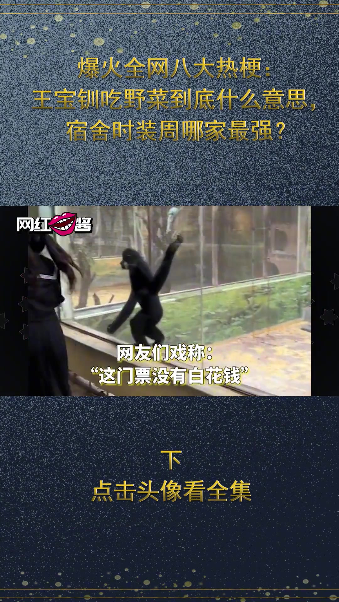 爆火全网八大热梗:王宝钏吃野菜专治恋爱脑,宿舍时装周哪家强?