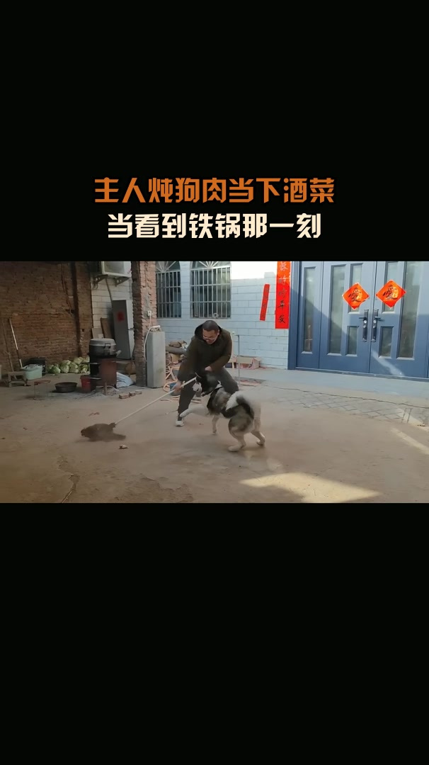 主人炖狗肉当下酒菜,当看到铁锅那一刻