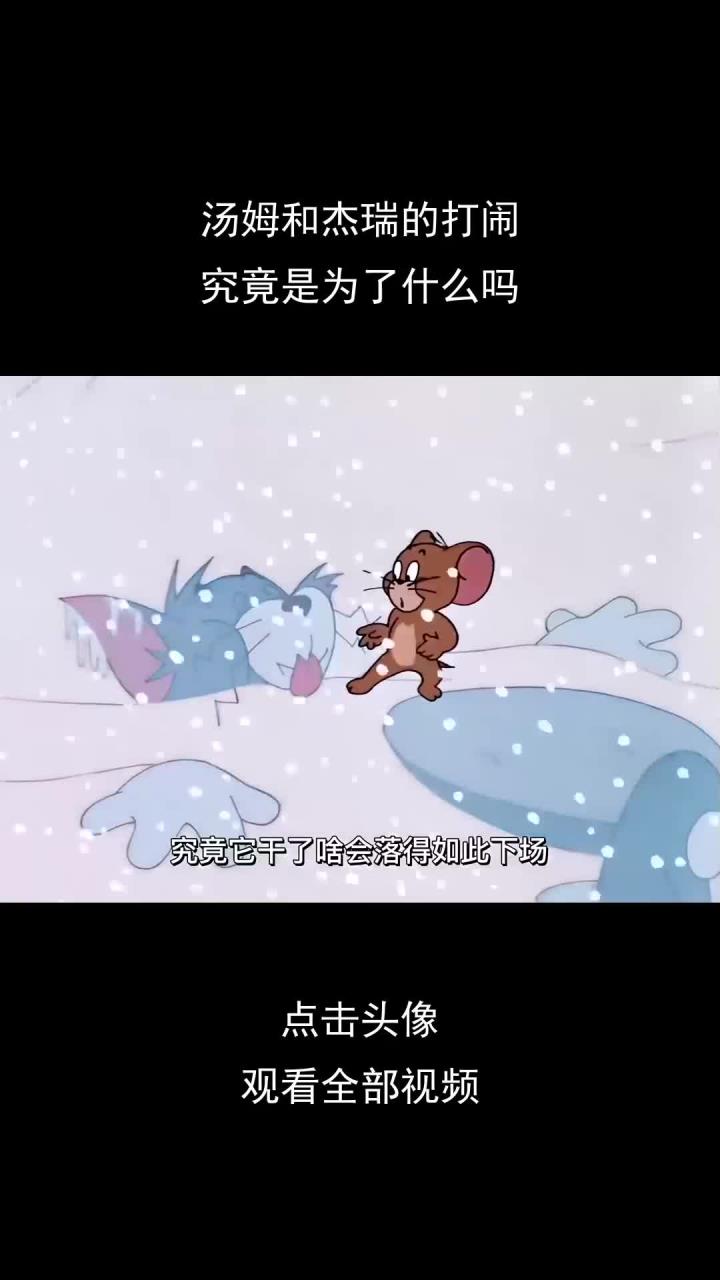 汤姆和杰瑞的打闹,究竟是为了什么吗